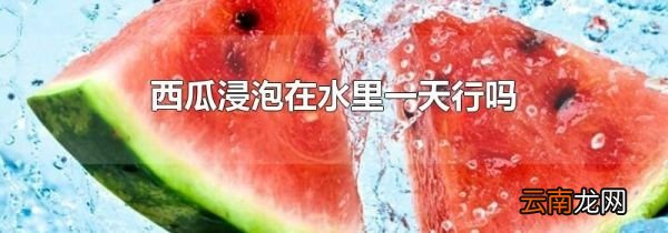 西瓜浸泡在水里一天行吗