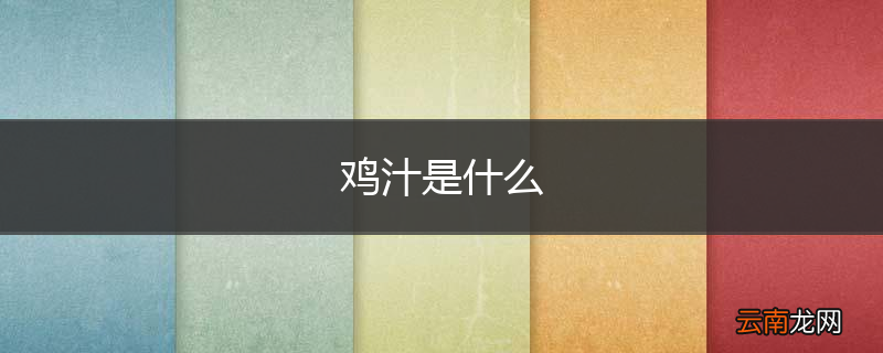 鸡汁是什么