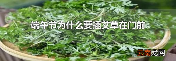 端午节为什么要插艾草在门前