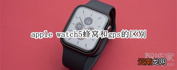 apple watch5蜂窝和gps的区别