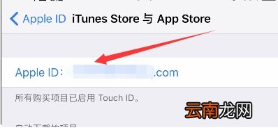 ipad下载密码忘记了怎么办啊