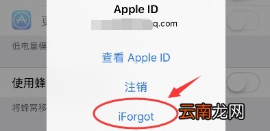 ipad下载密码忘记了怎么办啊