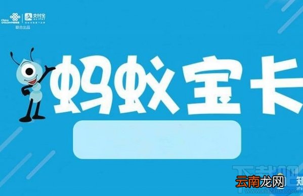 蚂蚁宝卡和腾讯大王卡哪个好？蚂蚁宝卡怎么样？