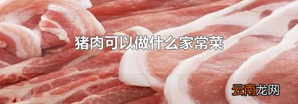 猪肉可以做什么家常菜