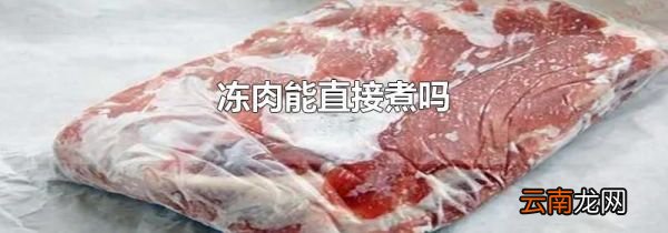 冻肉能直接煮吗