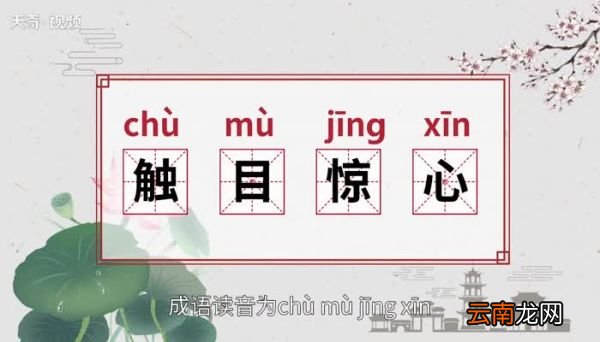 触目惊心的意思 触目惊心的出处