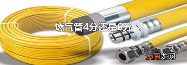 燃气管4分还是6分