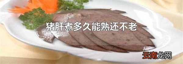 猪肝煮多久能熟还不老