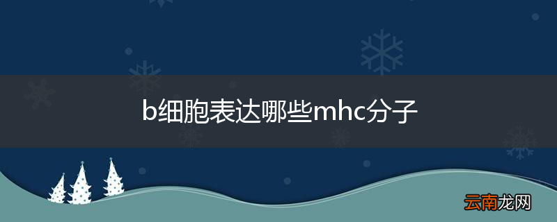 b细胞表达哪些mhc分子
