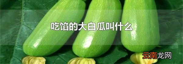 吃馅的大白瓜叫什么