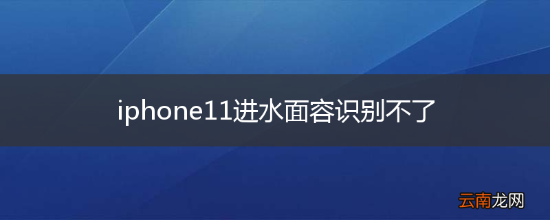 iphone11进水面容识别不了