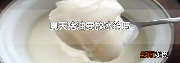 夏天猪油要放冰箱吗