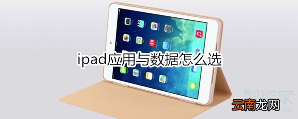 ipad应用与数据怎么选