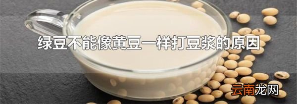 绿豆不能像黄豆一样打豆浆的原因