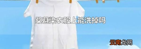 桑葚染衣服上能洗掉吗