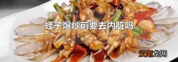 蛏子爆炒前要去内脏吗
