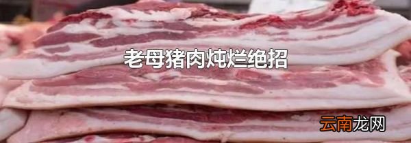 老母猪肉炖烂绝招
