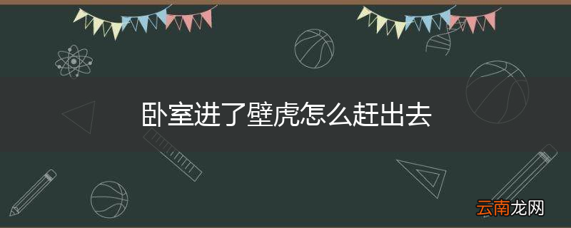卧室进了壁虎怎么赶出去