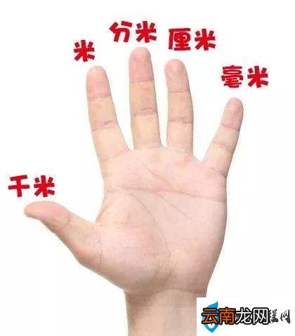 小学数学单位换算公式+练习 小学数学单位换算公式大全表