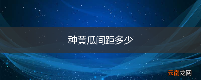 种黄瓜间距多少
