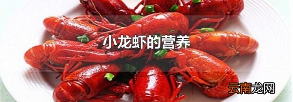 小龙虾的营养