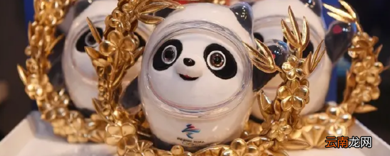 冰墩墩金边是什么