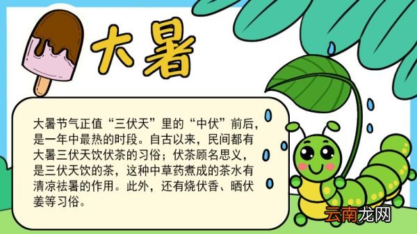 大暑手抄报教程大暑手抄报怎么画