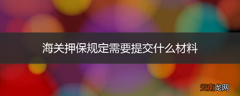 海关押保规定需要提交什么材料
