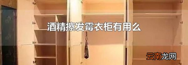 酒精擦发霉衣柜有用么