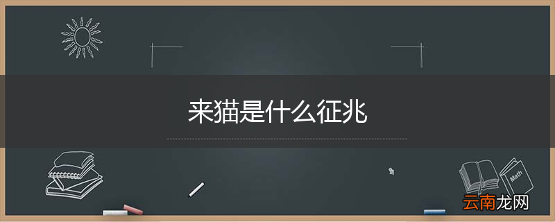 来猫是什么征兆