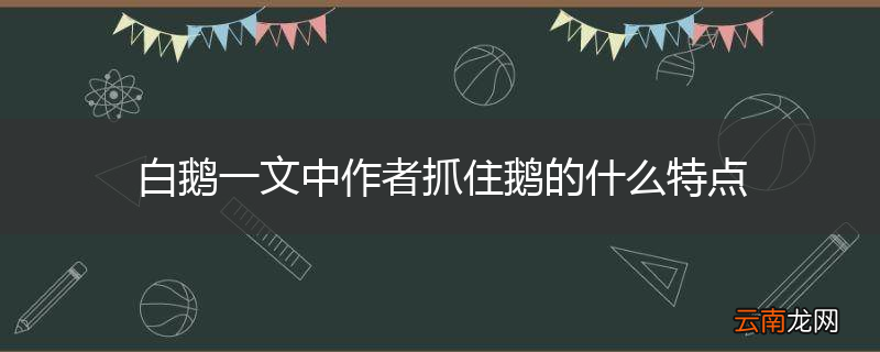 白鹅一文中作者抓住鹅的什么特点
