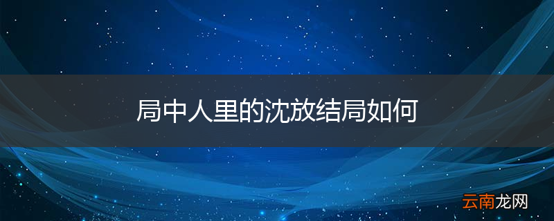 局中人里的沈放结局如何
