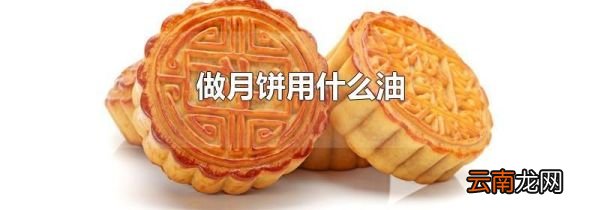 做月饼用什么油