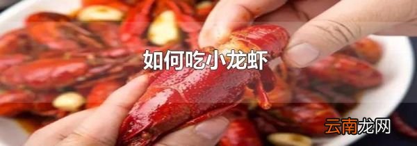 如何吃小龙虾