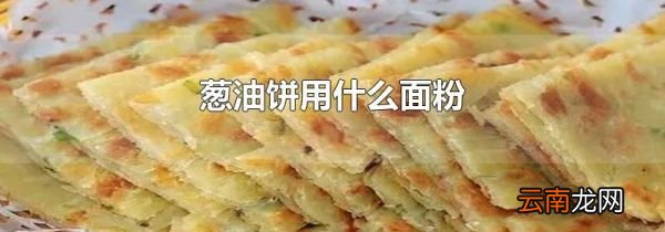 葱油饼用什么面粉