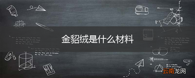 金貂绒是什么材料