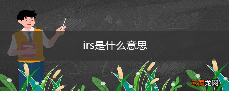 irs是什么意思