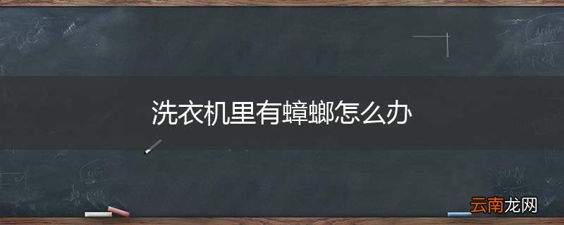 洗衣机里有蟑螂怎么办