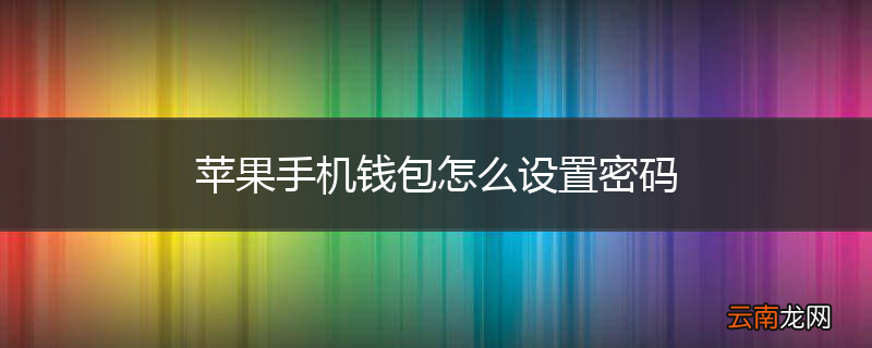 苹果手机钱包怎么设置密码