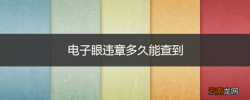 电子眼违章多久能查到