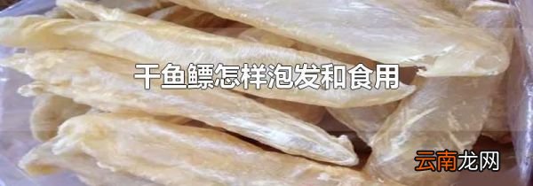 干鱼鳔怎样泡发和食用