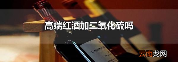 高端红酒加二氧化硫吗
