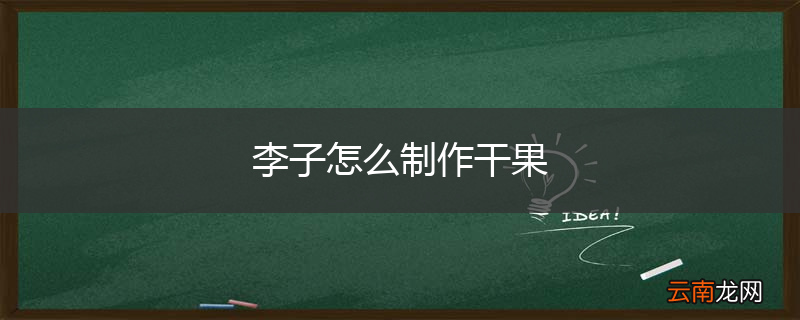 李子怎么制作干果