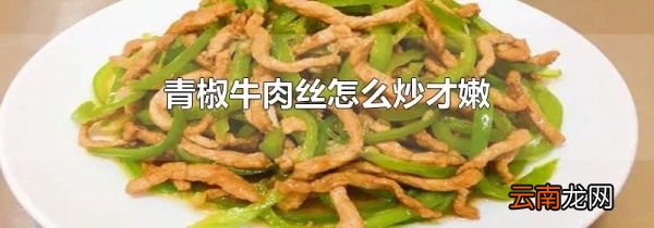 青椒牛肉丝怎么炒才嫩