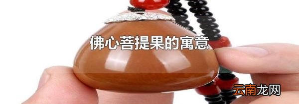 佛心菩提果的寓意