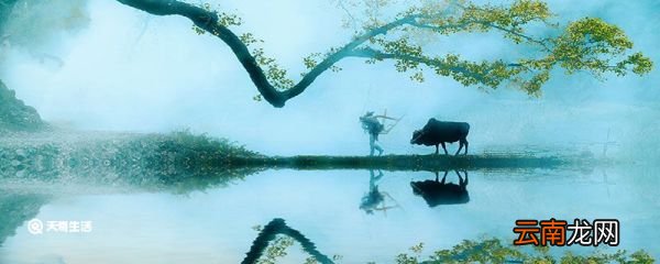 路上行人欲断魂的欲是什么意思 路上行人欲断魂的欲是指