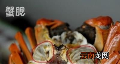 螃蟹该怎么将不能吃的排除