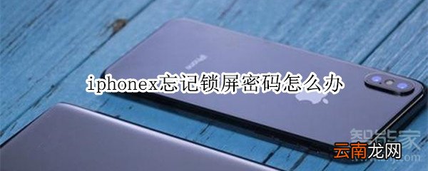 iphonex忘记锁屏密码怎么办