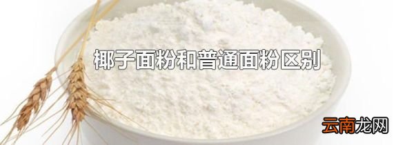 椰子面粉和普通面粉区别
