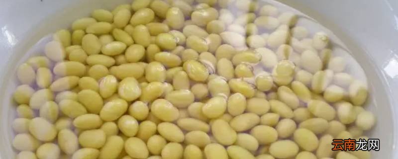 冬天泡豆子用凉水泡几个小时